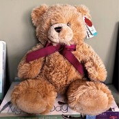 Add on a Teddy